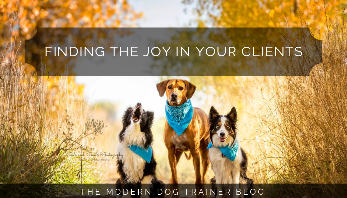 Finding The Joy In Your Clients