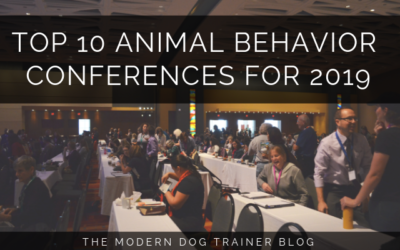 Top 10 Animal Behavior Conferences for 2019