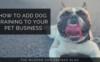 How to Add Dog Training to Your Pet Business