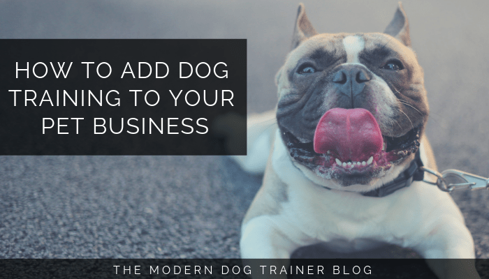 How to Add Dog Training to Your Pet Business