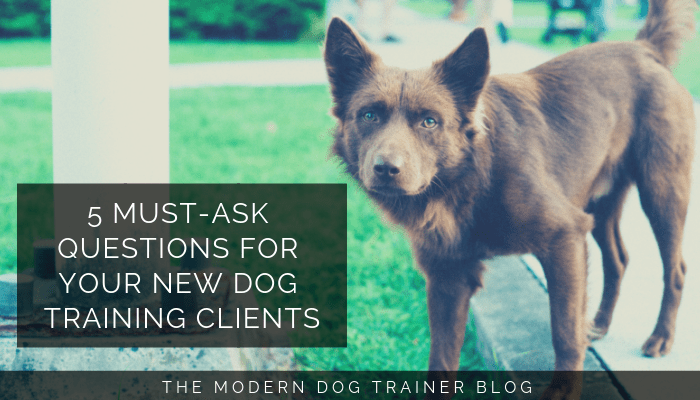 5 Must-Ask Questions for Your New Dog Training Clients