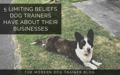 5 Limiting Beliefs Dog Trainers Have About Their Businesses