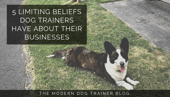 5 Limiting Beliefs Dog Trainers Have About Their Businesses