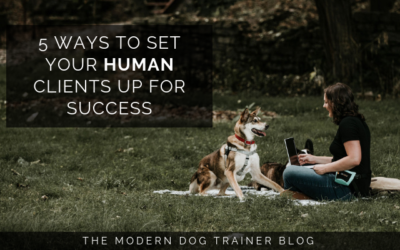 5 Ways to Set Your Clients Up for Success