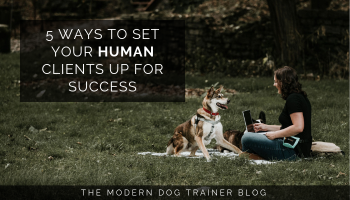 5 Ways to Set Your Clients Up for Success - The Modern Dog Trainer