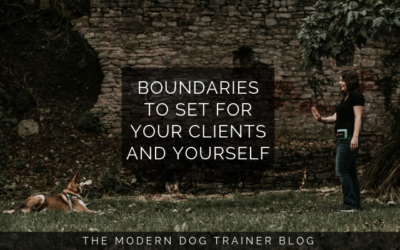 Boundaries to Set for Your Clients and Yourself