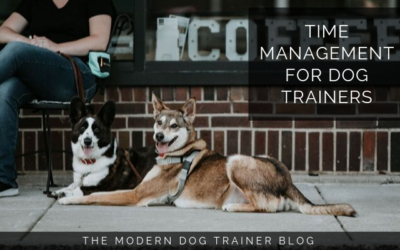 Time Management Tips for Dog Trainers