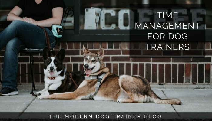 Time Management Tips for Dog Trainers