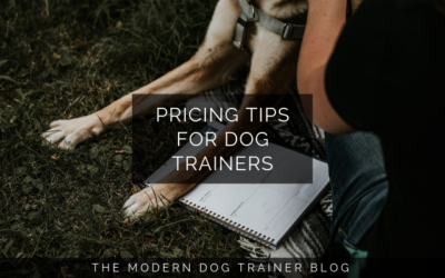 Pricing Tips for Dog Trainers