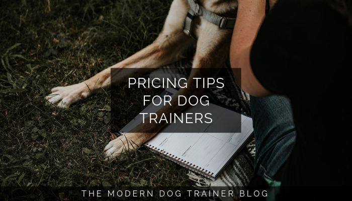 Pricing Tips for Dog Trainers