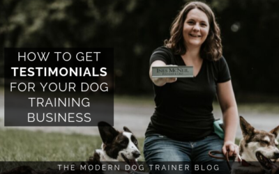 How to Get Testimonials for Your Dog Training Business