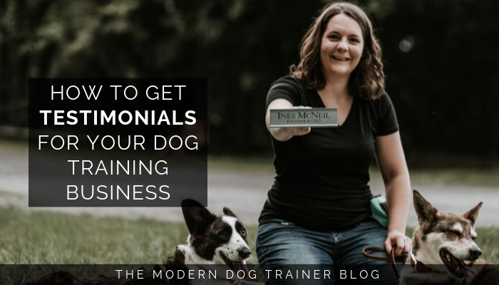 How to Get Testimonials for Your Dog Training Business