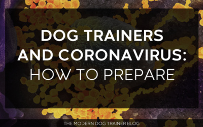 Dog Trainers and Coronavirus: How to Prepare