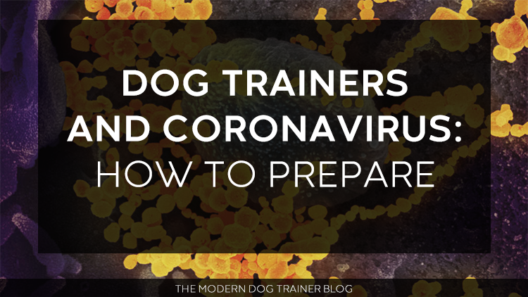 Dog Trainers and Coronavirus: How to Prepare