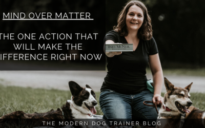 Mind Over Matter – The One Action That Will Make The Difference Right Now