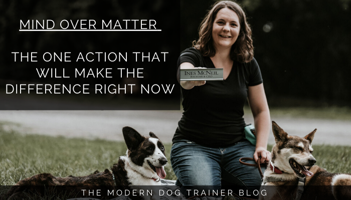 Mind Over Matter – The One Action That Will Make The Difference Right Now