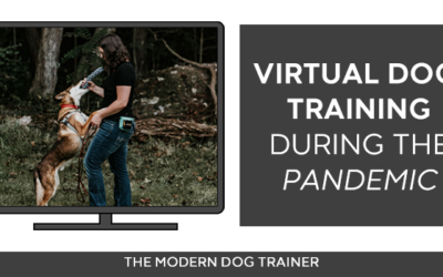 Virtual Dog Training During the Pandemic