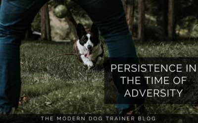 Persistence in the Time of Adversity