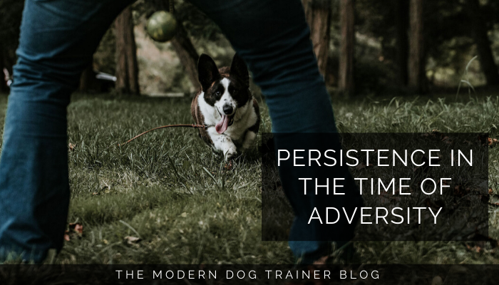 Persistence in the Time of Adversity