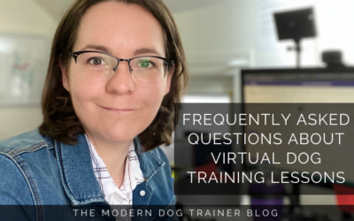 Frequently Asked Questions about Virtual Dog Training Lessons