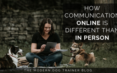 How Communication Online is Different than in Person