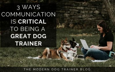 3 Ways Communication is Critical to Being a Great Dog Trainer