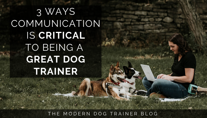 3 Ways Communication is Critical to Being a Great Dog Trainer