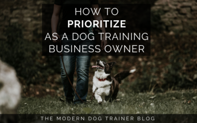 How to Prioritize as a Dog Training Business Owner