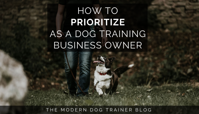How to Prioritize as a Dog Training Business Owner