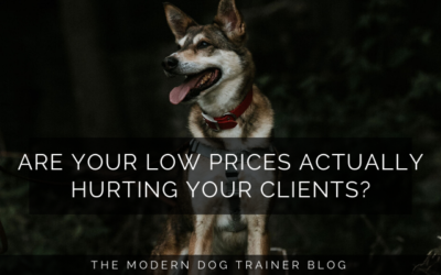 Are Your Low Prices Actually Hurting Your Clients?