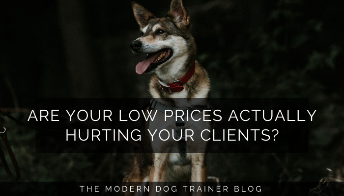 Are Your Low Prices Actually Hurting Your Clients?