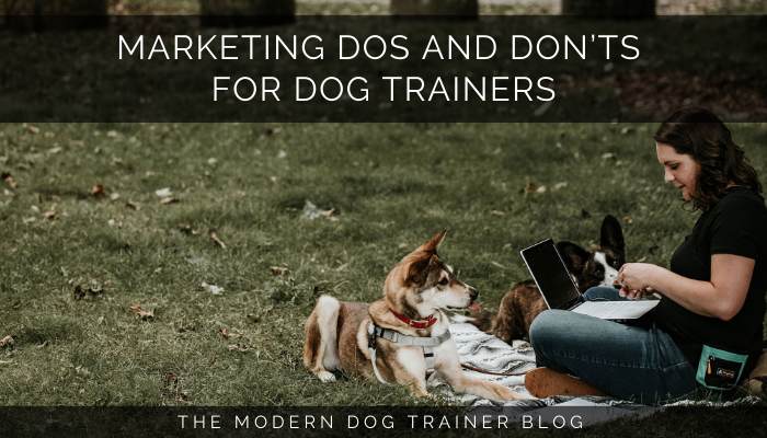 Marketing Dos and Don’ts for Dog Trainers