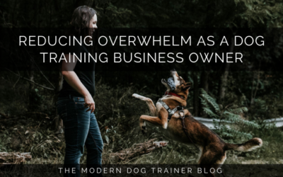 Reducing Your Overwhelm as a Dog Training Business Owner
