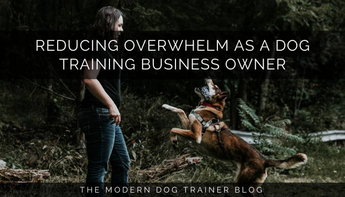 Reducing Your Overwhelm as a Dog Training Business Owner