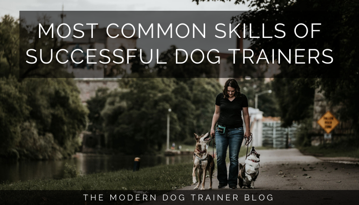 Most Common Skills of Successful Dog Trainers