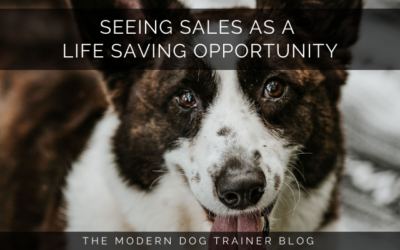 Seeing Sales as a Life Saving Opportunity