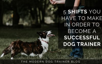 5 Shifts You Have to Make in Order to Become a Successful Dog Trainer