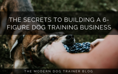 The Secrets to Building a 6-figure Dog Training Business