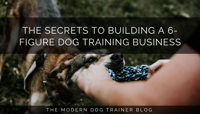 The Secrets to Building a 6-figure Dog Training Business