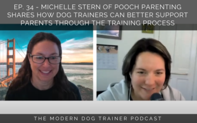 Ep. 34 – Michelle Stern of Pooch Parenting Shares How Dog Trainers Can Better Support Parents Through The Training Process