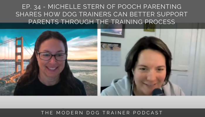 Ep. 34 – Michelle Stern of Pooch Parenting Shares How Dog Trainers Can Better Support Parents Through The Training Process