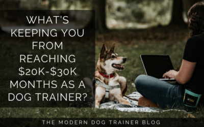 What’s keeping you from reaching $20K-$30K months as a dog trainer?