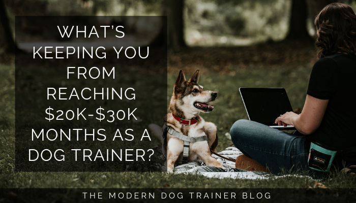 What’s keeping you from reaching $20K-$30K months as a dog trainer?
