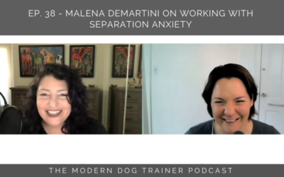 Episode 38 – Malena DeMartini on Working with Separation Anxiety