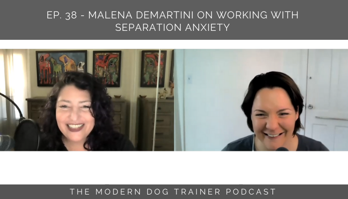 Episode 38 – Malena DeMartini on Working with Separation Anxiety