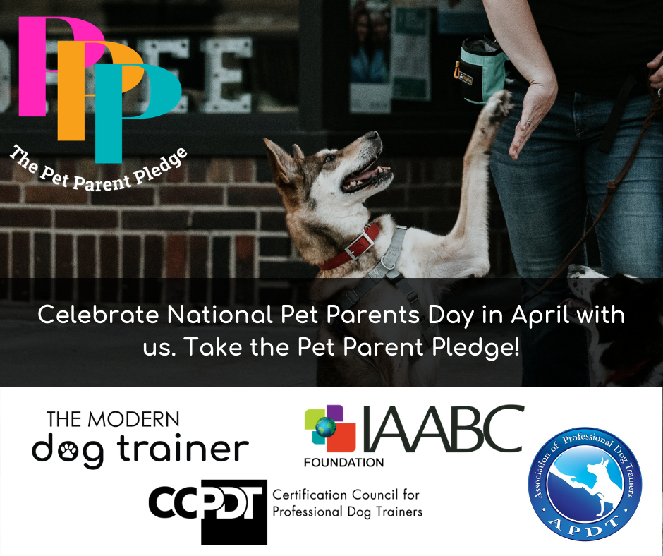 Take the Pet Parent Pledge for National Pet Parents Day The Modern