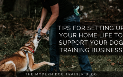 Tips for Setting Up Your Home Life to Support Your Dog Training Business