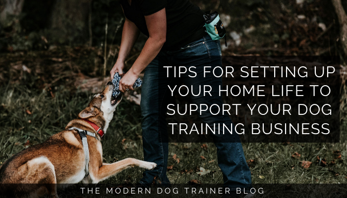 Effective Dog Obedience Training Tips and Techniques - Wild Earth