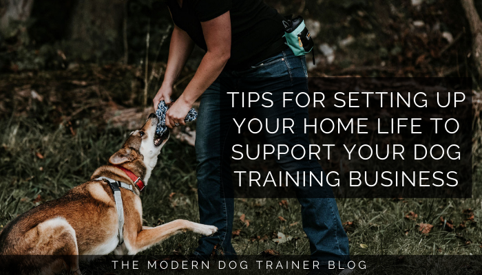 Tips for Setting Up Your Home Life to Support Your Dog Training Business