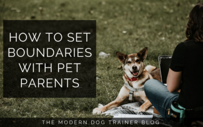 How to Set Boundaries with Pet Parents